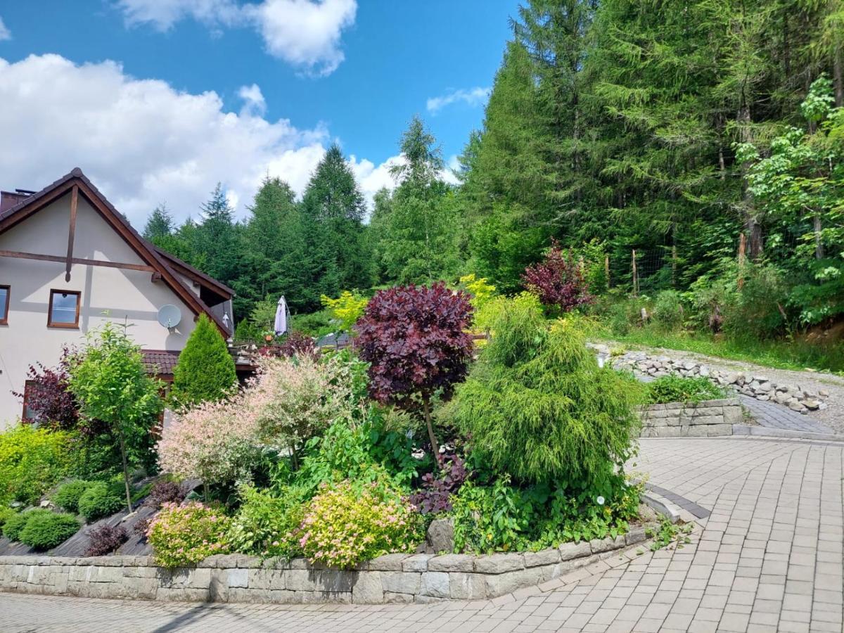 Apartamenty Nad Strumykiem Brenna Buitenkant foto